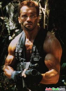 斯瓦辛格资料,从健美冠军到动作巨星的不凡之路