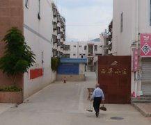 西屏照片,一幅自然与人文交融的画卷