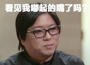 高晓松搞笑,笑谈人生，幽默解忧的“段子手”