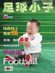 karry的资料,揭秘科技巨头的崛起之路