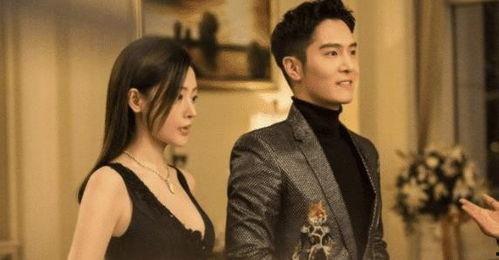 娱乐圈 网剧,娱乐圈新势力