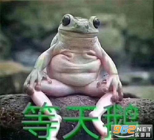 天鹅表情包,优雅与幽默的完美融合